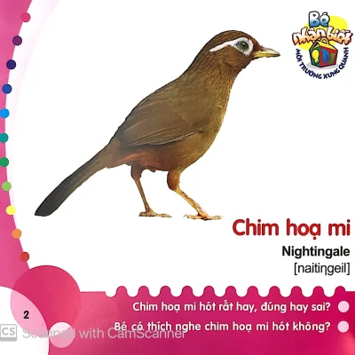 Be Nhan Biet Moi Truong Xung Quanh 0 3 Tuoi Chim 2014 Nhieu Tac Gia 69300ede36209