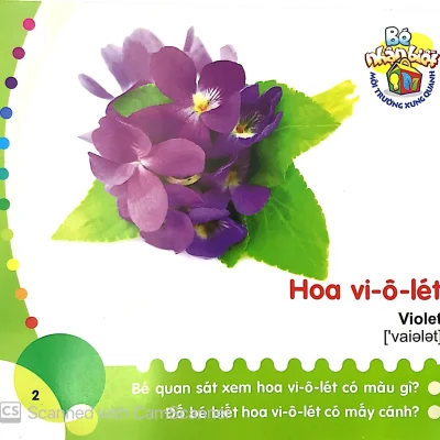 Be Nhan Biet Moi Truong Xung Quanh 0 3 Tuoi Hoa 2014 Nhieu Tac Gia 69300ed36537e