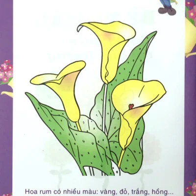 Be To Mau Lam Quen Voi Moi Truong Cac Loai Hoa 2018 Nhat Linh 692ec73454482
