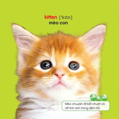 Be Yeu Di Mau Giao The Gioi Dong Vat 2011 Nhieu Tac Gia 692fedc9af771