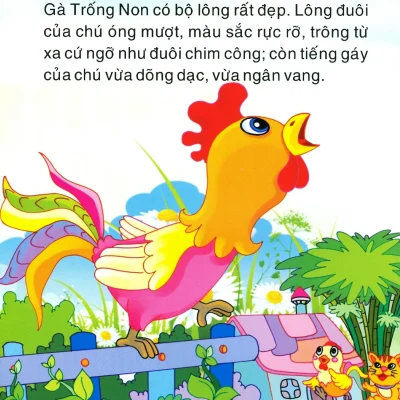 Co Tich Trang Non Ga Trong Kieu Cang 2019 Minh Anh Ngoc Phuong 692ec2c79d5ad