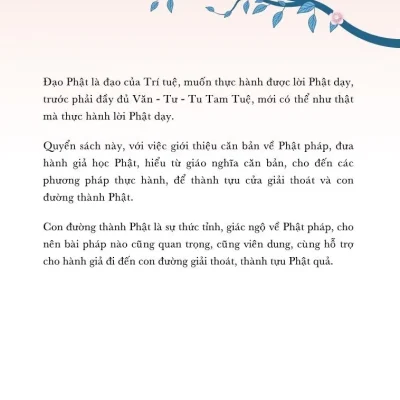 Con Duong Thanh Phat 2022 Ty Khieu Thich Di Kien 694cd41b42d76