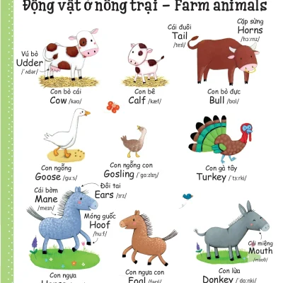 Cuon Sach Tu Vung Dau Tien Cua Toi My First Word Book Nong Trai Farm 2021 Caroline Young 692dca3069606