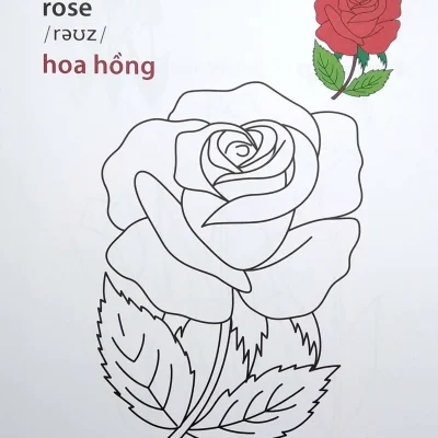Gio Hoc To Mau Cua Be Cac Loai Hoa Sieu Vui Nhon Sieu Bo Ich 2022 Nhieu Tac Gia 694fa1aaa2691