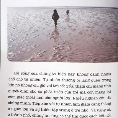 Hoc Montessori De Day Tre Theo Phuong Phap Montessori 100 Hoat Dong Montessori Con Khong Muon Lam Cay Trong Long Kinh 2016 Eve Herrmann Do Thi Minh Nguyet 692db9e4c07e2