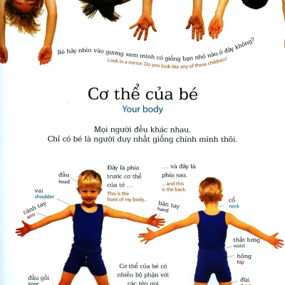 Lop Hoc Vui Ve Co The My Body 2019 Arianne Holden Fiona Wyeth 692ec1af96c7c