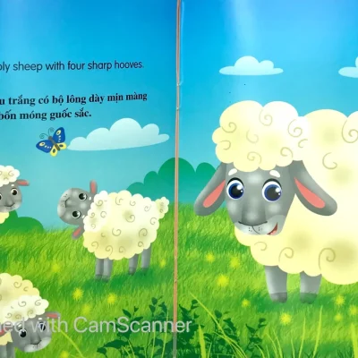 Nhung Cau Chuyen Ve The Gioi Dong Vat To La Mot Chu Cuu I Am A Sheep Song Ngu Anh Viet 2019 Nhieu Tac Gia 692fece69515b