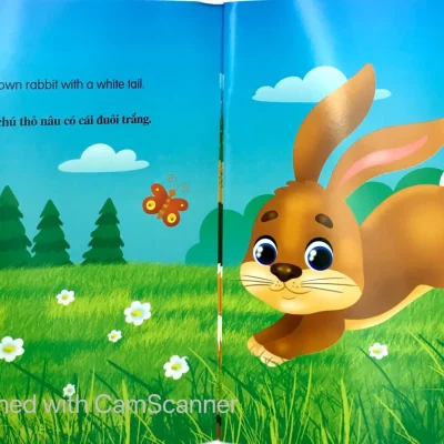 Nhung Cau Chuyen Ve The Gioi Dong Vat To La Mot Chu Tho I Am A Rabbit Song Ngu Anh Viet 2019 Nhieu Tac Gia 692fecdd806ec