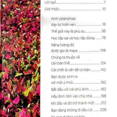 Osho Upanishad Cot Tuy Cua Giao Huan 2022 Osho 692e59f3bb160