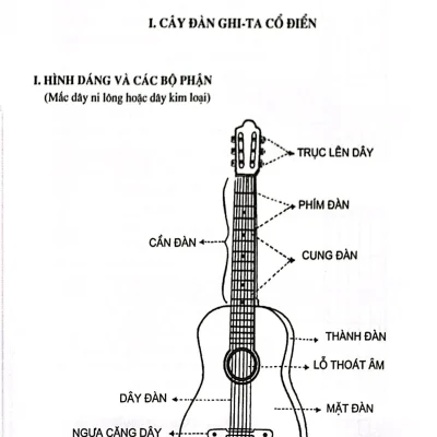 Phuong Phap Hoc Ghi Ta Phan Co Ban 2024 Ta Tan 692eb90d3bf88