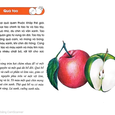 Qua Thom Qua Ngot 2015 Nhom Tac Gia 692dc55fb5d98