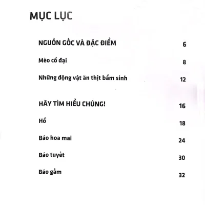 Sach 3d Nhung Loai Thu Lon Ho Meo 2014 Nhom Tac Gia 692e64b5ee83d