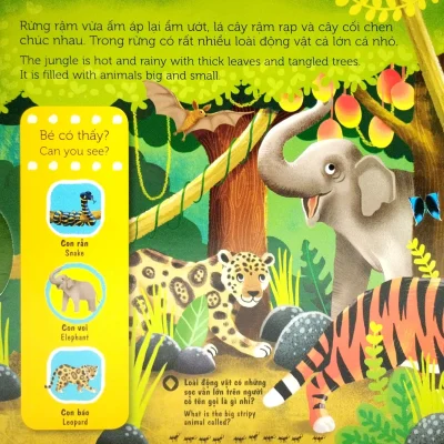 Sach Chuyen Dong First Explorers In The Jungle Trong Khu Rung 2022 Jenny Wren 692e5a1f63527
