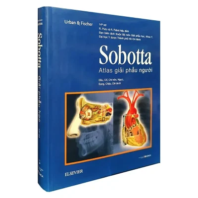 Sobotta Atlas Giai Phau Nguoi 2018 Sobotta 692fed6f43347