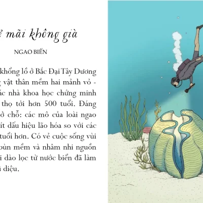 Song Mot Doi Tua Bien Khoi Nhung Bai Hoc Tri Tue Nhe Nhang Sau Lang Cua Dai Duong 2021 Annie Davidson Richard Harrington 692dcd56aee0e