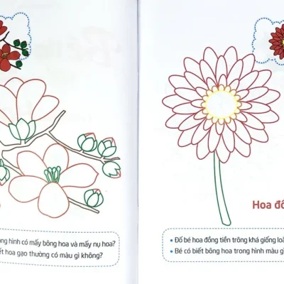 Tap To Mau Va Nhan Biet The Gioi Xung Quanh Cac Loai Hoa 2015 Khanh Hoa 69300c0a2238f