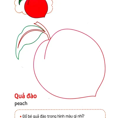 Tap To Mau Va Nhan Biet The Gioi Xung Quanh Cac Loai Qua 2015 Khanh Hoa 69300c1657732