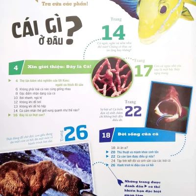 The Nao Va Tai Sao Cac Loai Ca The Gioi Dieu Ki Duoi Nuoc 2020 Nicolai Schirawski 692ec2bf34786