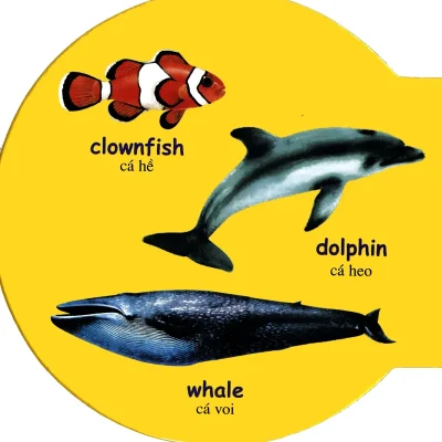 Tu Dien Anh Viet Bang Hinh Sea Animals Dong Vat Bien 2017 692fed4be2cb1