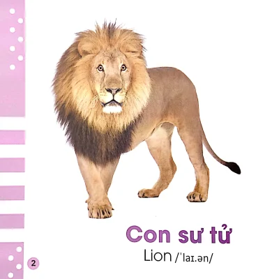 Tu Dien Bang Hinh Cho Be Cac Loai Dong Vat Animals 2022 Nhieu Tac Gia 692dc154c0fb3
