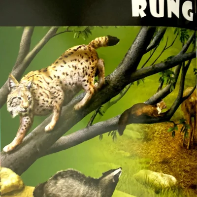 Tu Sach The Gioi Dong Vat Noi O Va Thoi Quen Hinh Minh Hoa 3d 2014 692eb397aecfd