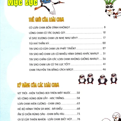 Wow Nhung Bi Mat Ky Dieu Danh Cho Hoc Sinh Kham Pha Cac Loai Chim 2021 Ton Nguyen Vi 692dc8cf00b4a