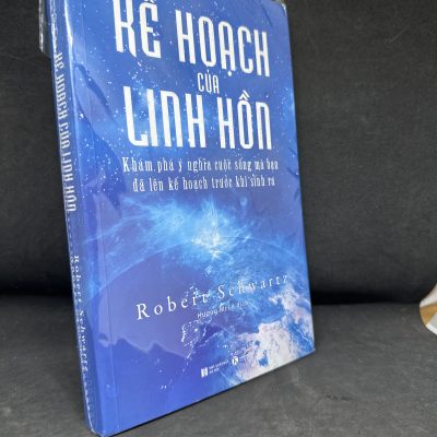 [Phiên Chợ Sách Cũ] Kế Hoạch Của Linh Hồn - Robert Schwartz S1905-SBM